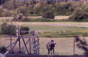 La Quillisascut farm