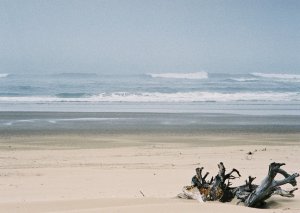 Il Pacifico, presso le Oregon Dunes