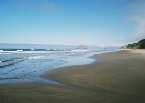 Il Pacifico