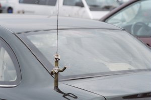 Un orignale porta antenna